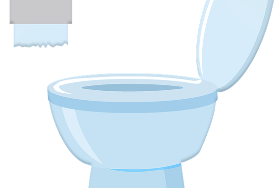 wc-sitz